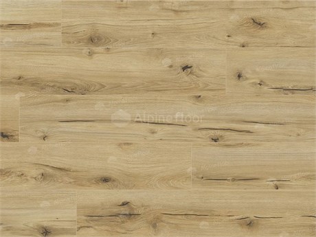 Ламинат ARTEO 8 M WR 8/33 4V 62747 Дуб Анаргоса 62747 Дуб Анаргоса ARTEO 8 M WR 8/33 4V