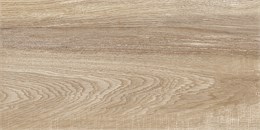 TWU2550EPH40 2С Плитка облицовочная рельефная Euphoria 249*500 2С_TWU2550EPH40
