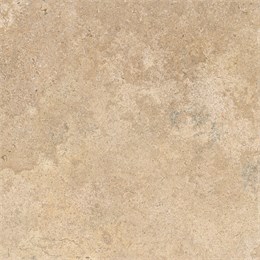 Паоло КГ 450*450 пес. 2С-6246-0120