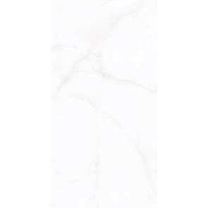 Керамогранит ART&NATURA CERAMICA 1200*600*9 Liola White Glossy
