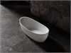 Ванна Solid Surface Vincea VBT-6S03MW, 1700*800*630, белый мат., слив-перелив в комплекте VBT-6S03MW - фото 111926