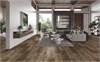 Ламинат Alpine Floor by CLASSEN AQUA LIFE 8/33 4V Дуб Анси LF103-10 LF103-10 Дуб Анси AQUA LIFE 8/33 4V