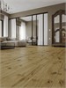 Ламинат NORLAND ELEGANT 10/33 4V-Groove LF305-14 Дуб Скай LF305-14 Дуб Скай ELEGANT 10/33 4V-Groove