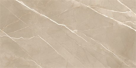 Керамогранит  ESSENTIAL MARRON 1200х600 60120ESE21P - фото 112019