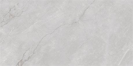 Керамогранит ASTONIA Silver Glossy Silver Line 1200х600 17054 - фото 112565