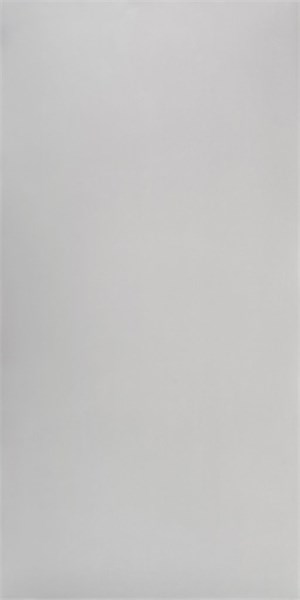 Керамогранит Studio Light grey polish 1200х600 BP-141 - фото 112891