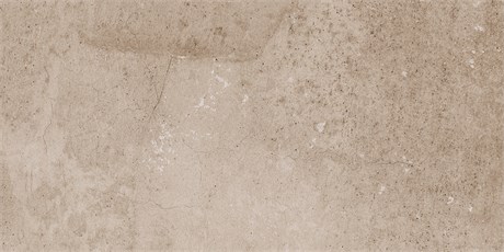 Керамогранит Seed Creamy 609х306 EE02/NS_R9/30,6x60,9x8N/GW - фото 113155