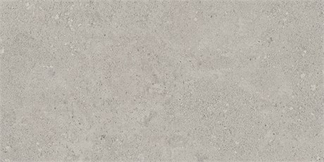Керамогранит Newport Light Grey 609х306 NP01/NS_R9/30,6x60,9x8N/GW - фото 113174
