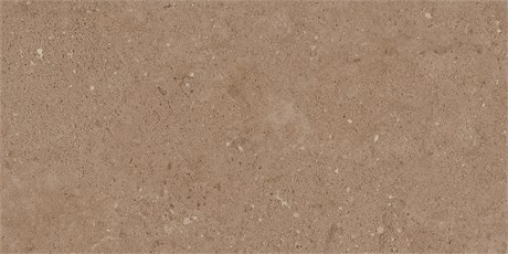 Керамогранит Newport Moka 609х306 NP03/NS_R9/30,6x60,9x8N/GW - фото 113178