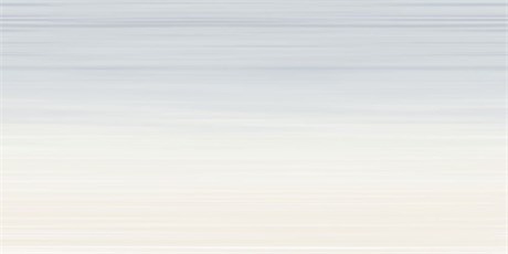 TWU09RLX604 2s плитка облицовочная Relax 249*500 TWU09RLX604 - фото 116043