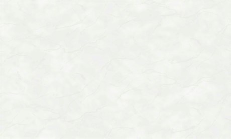 R148012 Обои Винил на флизелине Spring 10,05х1,06 40502