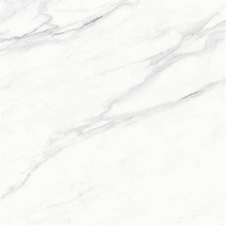 Керамогранит Calacatta Superb белый 60x60 матовый - фото 61656