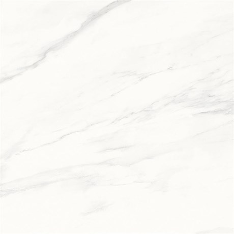 Керамогранит Calacatta Superb белый 60x60 полированный - фото 61657