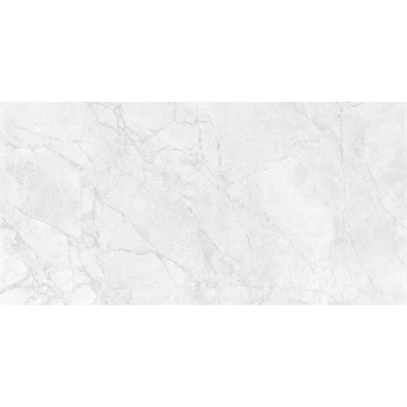 Керамогранит IBERIA BIANCO CARVING 60x120 Satin Staro 384336170 - фото 84876