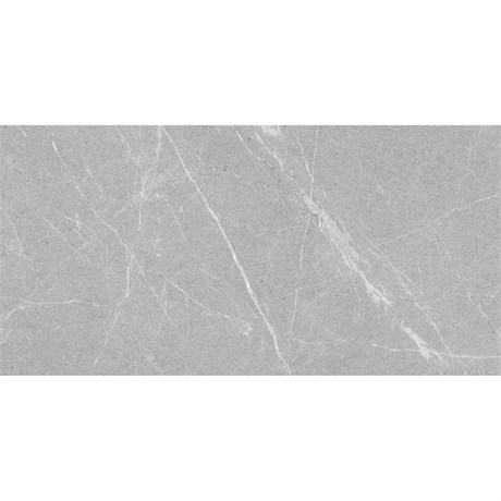 Керамогранит DAKOTA GRIS 60x120 ANTISLIP Staro 1241231508 - фото 84959