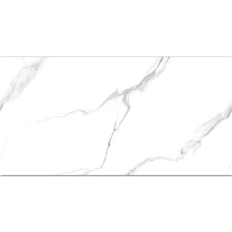 Керамогранит матовый STATUARIO CARVINO 60x120 MATT Staro 1517692035 - фото 85072