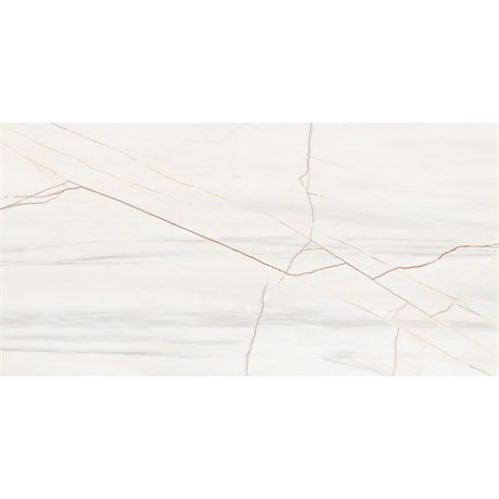 Керамогранит CRAKE WHITE 60x120 POLISHED Staro 1494666324 - фото 85116
