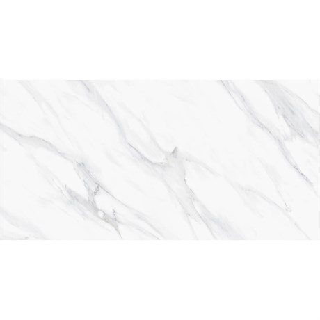 Керамогранит SWIZER WHITE 60х120 POLISHED Staro 440251155 - фото 85137