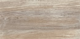 Плитка Detroit Wood 249х500 WT9DET08