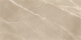 Керамогранит  ESSENTIAL MARRON 1200х600 60120ESE21P