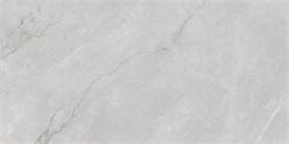Керамогранит ASTONIA Silver Glossy Silver Line 1200х600 17054