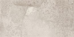 Керамогранит Seed Light Grey 609х306 EE01/NS_R9/30,6x60,9x8N/GW