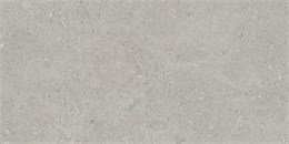 Керамогранит Newport Light Grey 609х306 NP01/NS_R9/30,6x60,9x8N/GW
