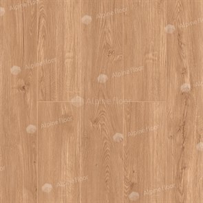 SPC ламинат Sequoia Секвойя Royal ЕСО 6-4 LVT ЕСО 6-4 LVT