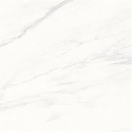 Керамогранит Calacatta Superb белый 60x60 полированный