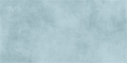 Плитка Richard 24,9x50 TWU09RCD606 TWU09RCD606