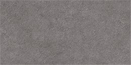 Плитка Discover 24,9x50 TWU2550DCV70 TWU2550DCV70