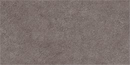 Плитка Discover 24,9x50 TWU2550DCV40 TWU2550DCV40