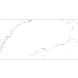 Керамогранит ARISTON CLASSIC 60x120 Satin Staro 1043345806