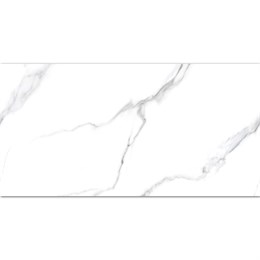 Керамогранит матовый STATUARIO CARVINO 60x120 MATT Staro 1517692035