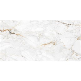 Керамогранит полированный DENIS GOLD 60x120 7мм POLISHED Staro 601062338