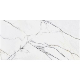 Керамогранит матовый PANDA WHITE 60х120 5мм MATT Staro 631847764