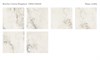 Плитка Brecha Crema 60x120 Polished (уп. 2 шт, 1,44 м2 ) Staro_УТ-00000287 - фото 111176