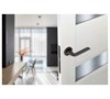Дверная ручка ADDEN BAU DOVE S-484 GRAPHITE DOVE S-484 GRAPHITE - фото 113636