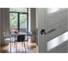 Дверная ручка ADDEN BAU WAVE S-488 GRAPHITE Графит S-488 GRAPHITE - фото 113641