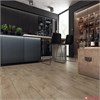 Ламинат Kronopol Платиниум Теста Aladdinl Oak D3309CO