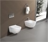 SET AQUATEK ДИВА-019 4в1 (рама AQUATEK Standard INS-0000012+ кркпеж KKI-0000002+клавиша KDI-0000019+унитаз ДИВА AQ2012-00 с тонким сиденьем soft-close SET AQUATEK ДИВА-019 4в1 - фото 77980