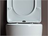 Унитаз подвесной Ceramicanova MIA CN1805 CN1805 - фото 78476