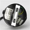 Подвесной светильник Lussole Centereach LSP-9888 LSP-9888 - фото 79371