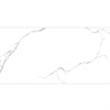 Керамогранит ARISTON CLASSIC 60x120 Satin Staro 1043345806 - фото 84892
