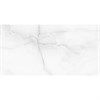 Керамогранит ANTISKY LIGHT GREY 60x120 Satin Staro 1493614942 - фото 84897