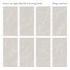 Керамогранит ASTRA ICE AGE 60x120 РЕЗЬБОВЫЙ АТЛАС Staro 973649007 - фото 84931