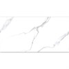 Керамогранит матовый STATUARIO CARVINO 60x120 MATT Staro 1517692035 - фото 85072