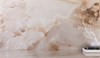 Керамогранит NESTLE BEIGE 60x120 POLISHED Staro 1720877053 - фото 85172