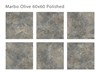 керамогранит MARBO OLIVE 60x60 POLISHED Staro 751303516 - фото 85289